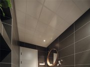 溫潤素凈的北歐風(fēng)格復(fù)式衛(wèi)生間裝修效果圖 溫潤素凈的北歐風(fēng)格復(fù)式衛(wèi)生間裝修效果圖