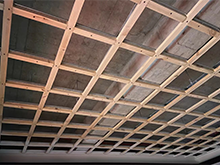 什么是木龍骨，特點有哪些？