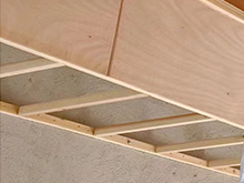 木龍骨的特點有哪些，選購方法了解一下！