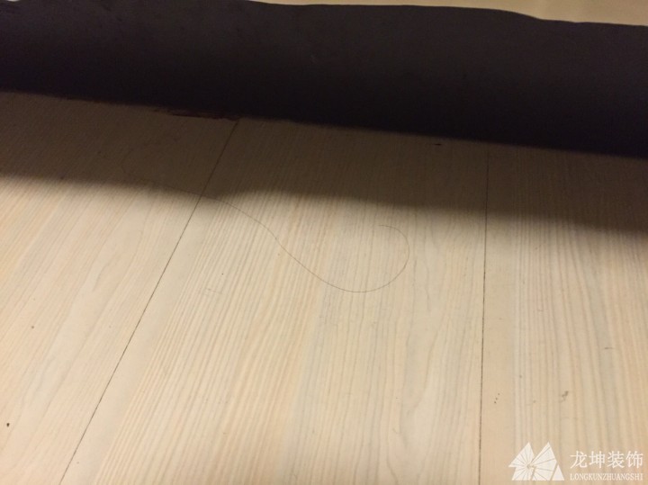 如何輕松清理地面毛發？