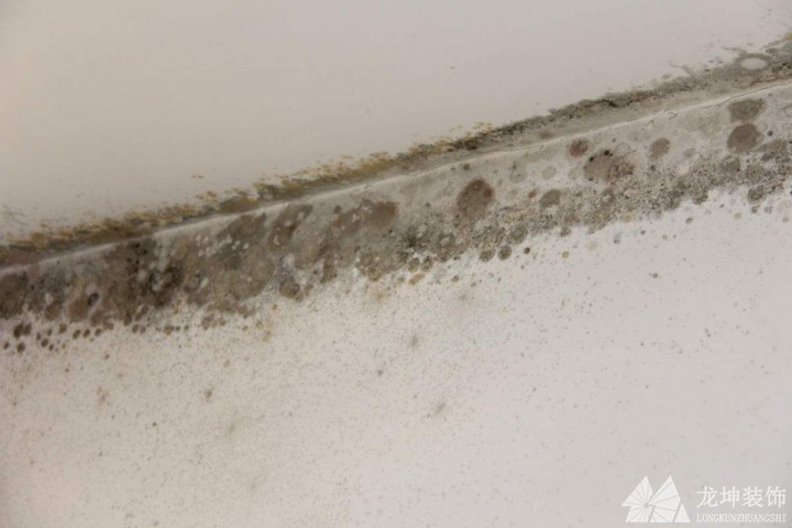 墻體發霉的處理和預防方法